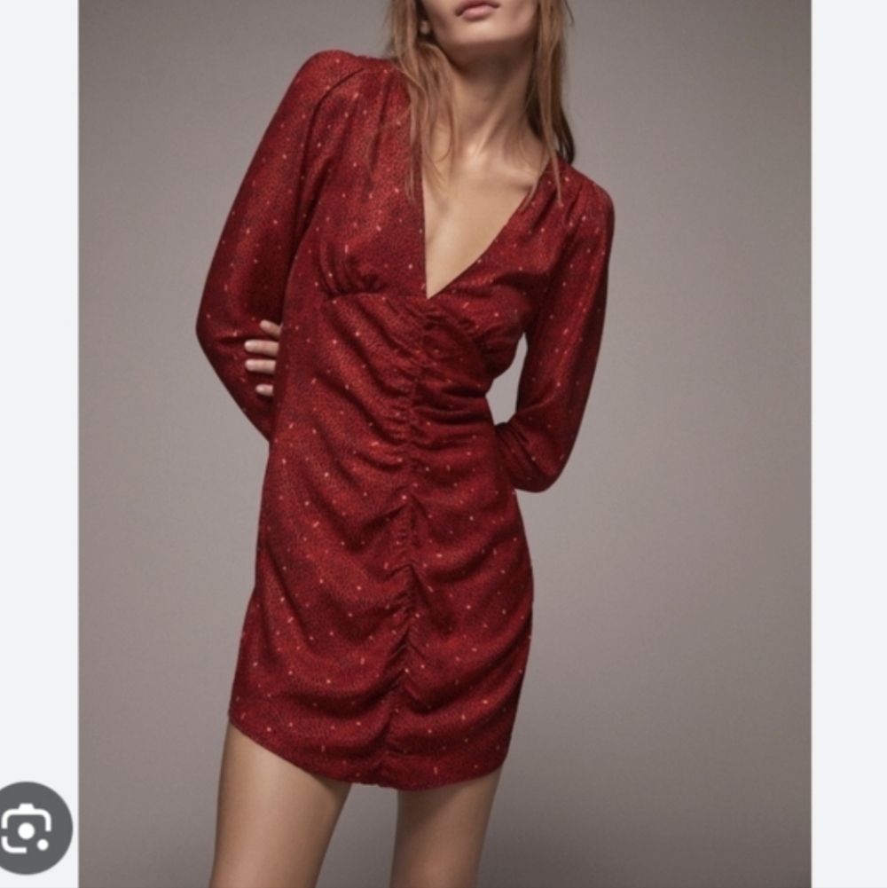 Zara Animal Print Red Ruched Dress